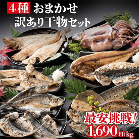 訳あり 海鮮 干物セット 1kg 詰め合わせ おまかせ 製造元直売 アウトレット干物 乾燥【冷凍便】 美味しい贈物 お中元 ギフト