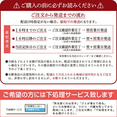 【送料無料】朝獲れ鮮魚セット10000円コース!おまかせ鮮魚(6種以上)詰め合わせ【冷蔵便】