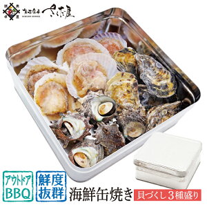 KKĂ CNʏĂZbg YuLÂv3퐷  kty ЊLقāyⓀցzCNo[xL[Zbg BBQ  hV̓ CNBBQ AEghA