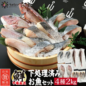 ς  ܂Zbg 4~6 1kg 2kg Ε ~Mtg N CNlߍ킹 H 2kgw+s񂾂t N lߍ킹 Zbg ⓀHށyⓀցz 