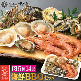 海鮮バーベキューセット BBQ B 5種14品 3～4人前【冷凍便】 父の日