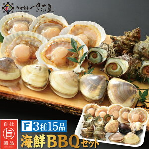 CNo[xL[Zbg BBQ F 315i 2`3lOyⓀցz  hV̓ CNBBQ AEghA