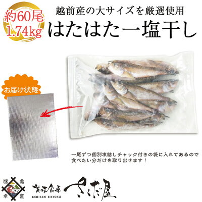 《あす楽》《冷凍便送料無料》【徳用1.74kg】大きめ越前はたはた一塩干し1.74kg(48尾前後)仕立て冷蔵便・常温便との同梱不可