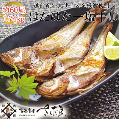 【徳用1.74kg】大きめ越前はたはた一塩干し1.74kg(60尾前後)仕立て冷蔵便・常温便との同梱不可