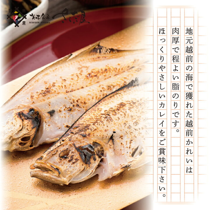21新発 笹かれい旬干６枚セット 1枚25g12cm前後 小さな朝食サイズ笹カレイ干物 お取り寄せグルメ 山陰獲れたて浜田産 笹鰈ひもの ヤナギムシ カレイ Materialworldblog Com