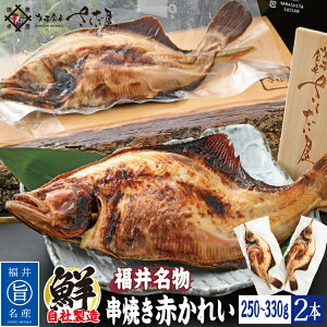 ĂԂꂢ IׂTCY Ԃꂢ zOJC V_u 蕨  yⓀցz hV̓