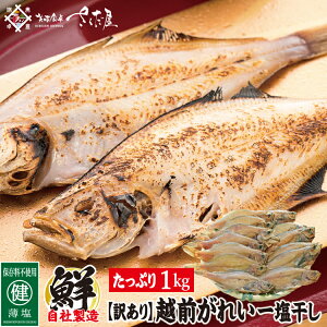 y󂠂zyⓀցzzOY ꂢꉖ 1kg nYۑsgp @t[hX 
