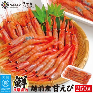福井 甘エビ エビの人気商品 通販 価格比較 価格 Com