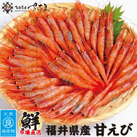 福井県産 甘えび 250g〜750g ふくい甘えびを急速冷凍！保存料不使用 無着色 甘エビ 甘海老 アマエビ 海鮮 お刺身 日本海 【冷凍便】 美味しい贈物 お中元