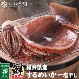 海鮮バーベキューセット BBQ するめいか干物 保存料不使用【冷凍便】