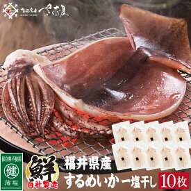 楽天市場 海鮮バーベキューセットの通販