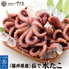 海鮮バーベキューセット BBQ 福井県産 ミズダコ ミニサイズ【冷凍便】水たこ【訳あり】 美味しい贈物 お中元