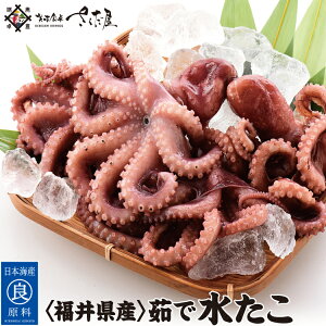 CNo[xL[Zbg BBQ 䌧Y ~Y_R ~jTCYyⓀցzy󂠂z 