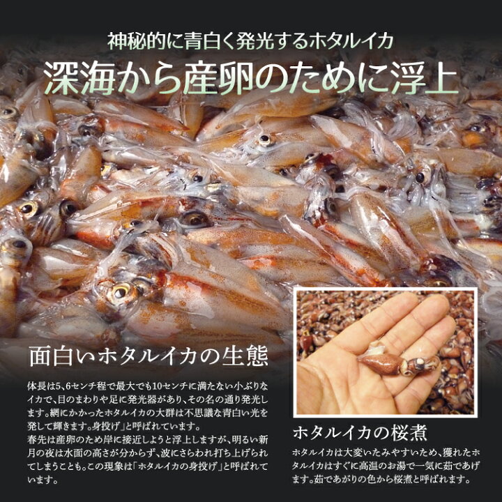 楽天市場】【春限定】目取り ほたるいか 1kg(500g×2袋) 国産 生食用 【冷凍便】 : 美味食卓さくだ屋 楽天市場】【春限定】目取り ほたるいか 1kg(500g×2袋) 国産 生食用 【冷凍便】 : 美味食卓さくだ屋