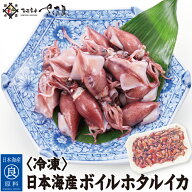 ボイルホタルイカ 250g 500g 750g 1kg 冬ギフト 日本海産【冷凍便】 美味しい贈物