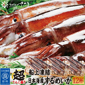 CNo[xL[Zbg BBQ {C߂ 4t?12t DCJyⓀցz 