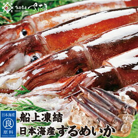 海鮮バーベキューセット BBQ 日本海するめいか 4杯～12杯 船凍イカ【冷凍便】 父の日