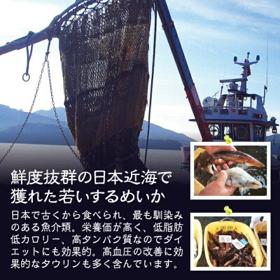 青森県産イカそうめん10柵300〜350g【冷凍便】