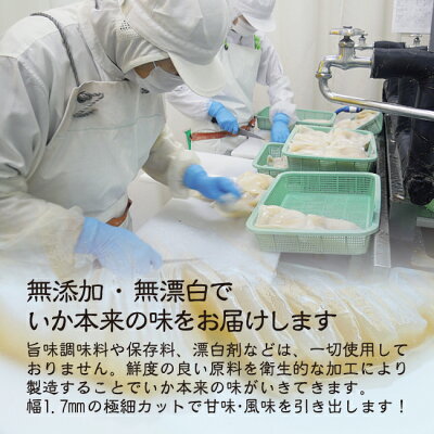 青森県産イカそうめん10柵300〜350g【冷凍便】