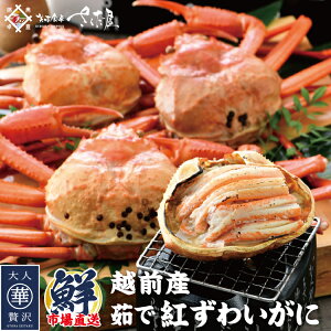 y󂠂z䥂ōgYCKj p 3t 5t 7t Ε ~Mtg N 䌧Y lꂽĕl䥂ł𔭑!y①ցz1t200~300g I 