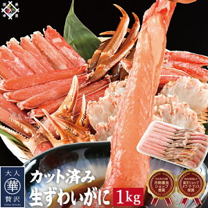  Jbg 킢I 480g 1kg Ε ~Mtg N HyⓀցz 