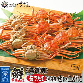 無選別せいこ蟹 5杯 10杯 15杯 お歳暮 冬ギフト お年賀 せいこがに 福井県産 兵庫県産 【冷蔵便】 茹でたてを産地直送