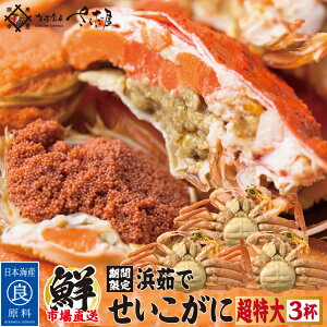 l䥂 zO yTCYz F^Ot (1t220gȏ) Ε ~Mtg N I  䌧Yy①ցz 2Ԃ킦Ȃ~̖o!zOŕl