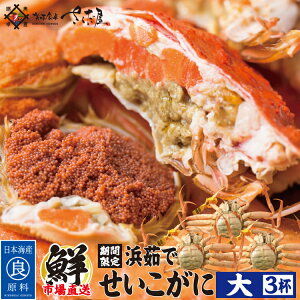 l䥂 zO yTCYzF^Ot (1t180~200g) Ε ~Mtg N I  䌧Yy①ցz 2Ԃ킦Ȃ~̖o!zOŕl䥂ł