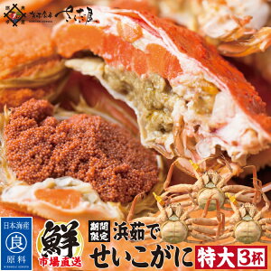 l䥂 zO yTCYz F^Ot (1t200~220g) Ε ~Mtg N I  䌧Yy①ցz 2Ԃ킦Ȃ~̖o!zOŕl䥂ł