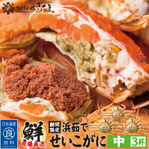 l䥂 zO yTCYz F^Ot (1t150~180g) Ε ~Mtg N I  䌧Yy①ցz 2Ԃ킦Ȃ~̖o!zOŕl䥂ł