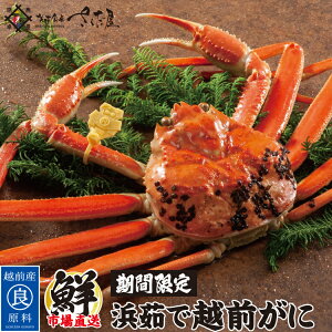 yԌzl䥂 zO Ε ~Mtg Ny①ցz䥂ł Yn