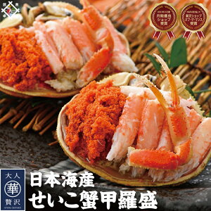 yO]_ƐE!GfڏizyʌzI b1 5 12 Ε ~Mtg N zO CN Mtg lߍ킹 䌧Y ɌYyⓀցz