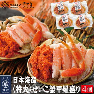 yʌzyO]_ƐE!Gfڏiz  I b 2 3 4 ZCRKj I CN Mtg lߍ킹yⓀցz zO 