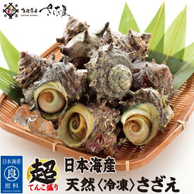 海鮮 BBQセット 日本海産 冷凍さざえ 徳用1〜3kg【冷凍便】ガンガン焼き にオススメ♪ 美味しい贈物 お中元