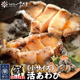 海鮮バーベキューセット BBQ 活き蝦夷あわび ミニサイズ 5個?10個【冷蔵便】ガンガン焼き にもオススメ♪ 美味しい贈物 お中元