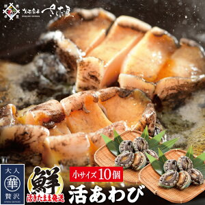 ڈ΂ 5 10 ~jTCY Ε ~Mtg N CNo[xL[Zbg BBQy①ցz