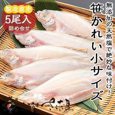 ミニサイズ若狭かれい一夜干し【干物無添加訳あり】笹かれい5尾パック冷蔵便・常温便との同梱不可