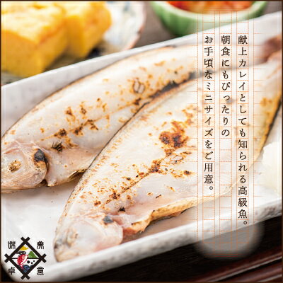 《あす楽》《冷凍便》ミニサイズ若狭かれい一夜干し【干物無添加訳あり】笹カレイ5尾パック冷蔵便・常温便との同梱不可