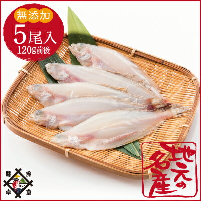《あす楽》《冷凍便》ミニサイズ若狭かれい一夜干し【干物無添加訳あり】笹カレイ5尾パック冷蔵便・常温便との同梱不可