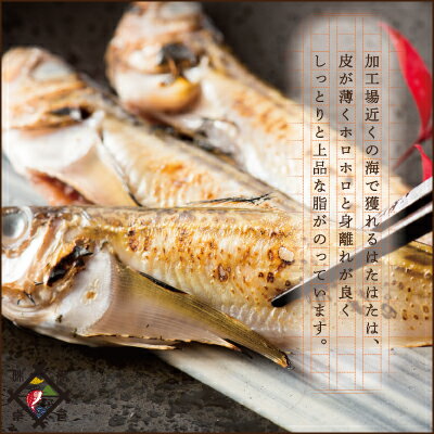 《あす楽》《冷凍便送料無料》【徳用1.74kg】大きめ越前はたはた一塩干し1.74kg(48尾前後)仕立て冷蔵便・常温便との同梱不可