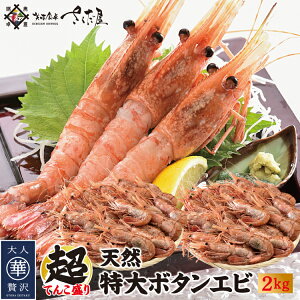 天然ジャンボぼたんえび 1kg 特大サイズ 14〜16尾 生食可【冷凍便】 美味しい贈物