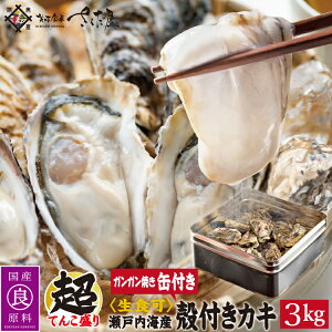 kt y JJĂ H IׂZbg  JLyⓀցzCNo[xL[ɂ hV̓ CNBBQ AEghA
