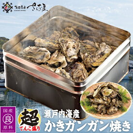 殻付き 牡蠣 カンカン焼き 生食可 選べるセット かき カキ【冷凍便】海鮮バーベキューにも お中元