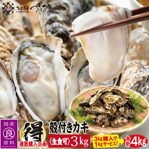 kt y JJĂ H IׂZbg  JLyⓀցzCNo[xL[ɂ CNBBQ AEghA