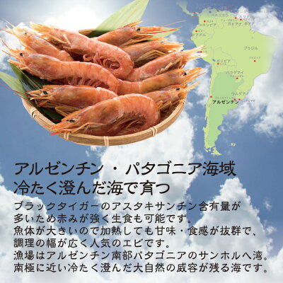海鮮BBQセットバーベキューセット天然アルゼンチン赤エビ特大サイズ10尾生食可【冷凍便】