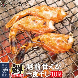越前産 甘えび一夜干し 越前塩使用 エビ 海老【冷凍便】 美味しい贈物 お中元