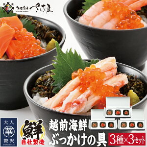 zOCNԂ̋Zbg 3 Ε ~Mtg N CN Mtg lߍ킹 CN Â ӂT[ xjYCKjyⓀցz