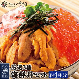 海鮮丼 約4杯分・約8杯分 ウニ・カニ・いくら たっぷり海鮮丼セット 海鮮 魚卵 刺身 小分け 海鮮丼の具 魚介類 水産加工品【冷凍便】美味しい贈物 父の日 お中元 ギフト
