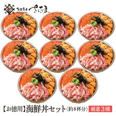 海鮮丼セット約8杯分【冷凍便】