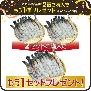 CNo[xL[Zbg BBQ ubN^CK[  6LATCY 1pbN10 2pbNwŁ{1pbNv[g L΂GryⓀցz  hV̓